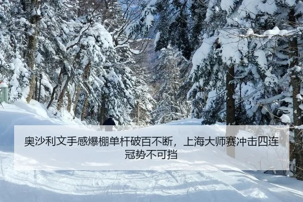 ao-sha-li-wen-shou-gan-bao-peng-dan-gan-po-bai-bu-duan-shang-hai-da-shi-sai-chong-ji-si-lian-guan-shi-bu-ke-dang-2-372.jpg